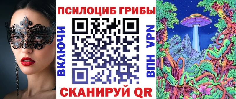 Псилоцибиновые грибы мицелий  хочу   Якутск 