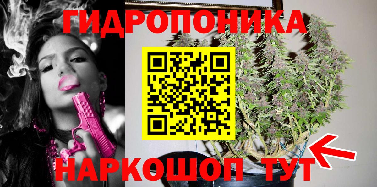 Каннабис Ganja  Марихуана план  Вход с VPN  Шишки марихуана конопля  Якутск 